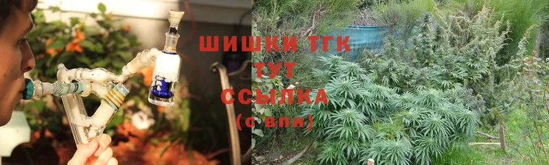 Виды наркотиков купить Вытегра Гашиш  Каннабис  Альфа ПВП  Мефедрон  Cocaine 